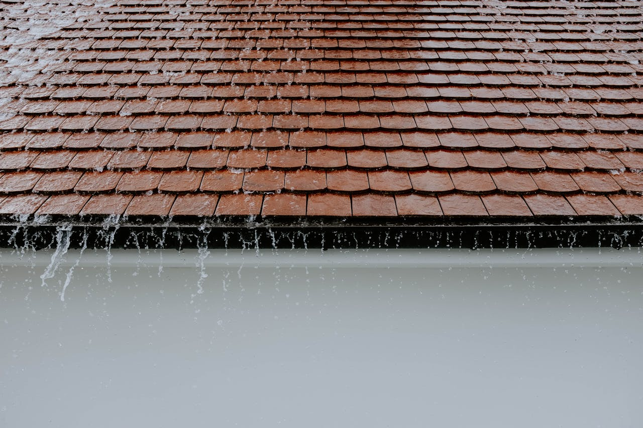 Fascia & Soffit Cleaning